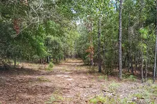 Parcel B-2 Wildlife Rd, Harold, FL 32564 - Photo 1