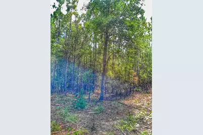 Parcel C-2 Wildlife Rd, Harold, FL 32564 - Photo 4