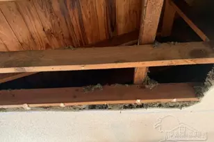 529 Selina St, Pensacola, FL 32503 - Photo 50