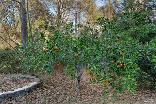 508 Northcreek Dr, Pensacola, FL 32514 - Photo 60