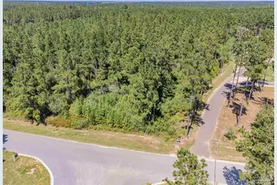 002 Sage Forest Ln, Pace, FL 32571 - Photo 4