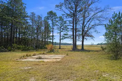 818 Twin Bridges Rd, Flomaton, AL 36441 - Photo 26