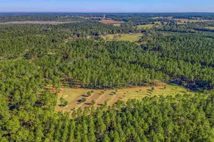 1650 Bear Bay Flats Rd, Laurel Hill, FL 32567 - Photo 54