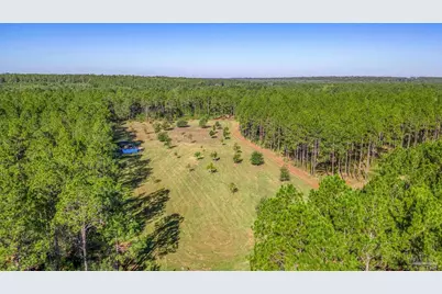 1650 Bear Bay Flats Rd, Laurel Hill, FL 32567 - Photo 46