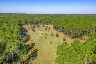 1650 Bear Bay Flats Rd, Laurel Hill, FL 32567 - Photo 46