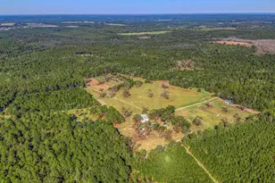 1650 Bear Bay Flats Rd, Laurel Hill, FL 32567 - Photo 52