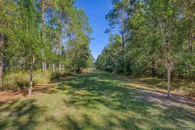 1650 Bear Bay Flats Rd, Laurel Hill, FL 32567 - Photo 62