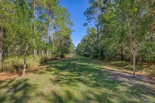1650 Bear Bay Flats Rd, Laurel Hill, FL 32567 - Photo 62