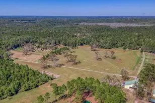 1650 Bear Bay Flats Rd, Laurel Hill, FL 32567 - Photo 48