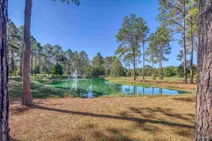 1650 Bear Bay Flats Rd, Laurel Hill, FL 32567 - Photo 60
