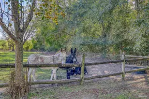 1650 Bear Bay Flats Rd, Laurel Hill, FL 32567 - Photo 42