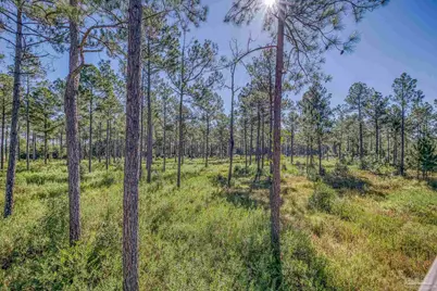 1650 Bear Bay Flats Rd, Laurel Hill, FL 32567 - Photo 66