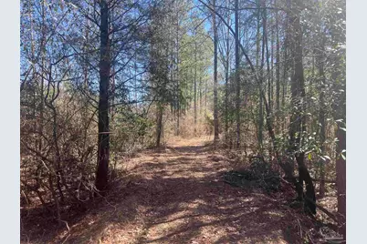 10 Robinsonville Rd, Atmore, AL 36502 - Photo 18