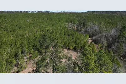 10 Robinsonville Rd, Atmore, AL 36502 - Photo 14