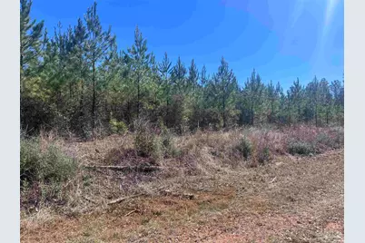 10 Robinsonville Rd, Atmore, AL 36502 - Photo 16