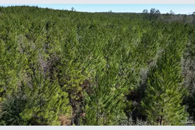 10 Robinsonville Rd, Atmore, AL 36502 - Photo 8