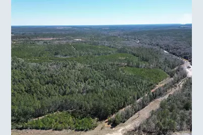 10 Robinsonville Rd, Atmore, AL 36502 - Photo 10