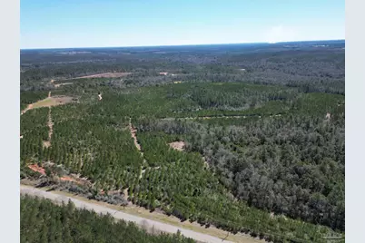 10 Robinsonville Rd, Atmore, AL 36502 - Photo 12