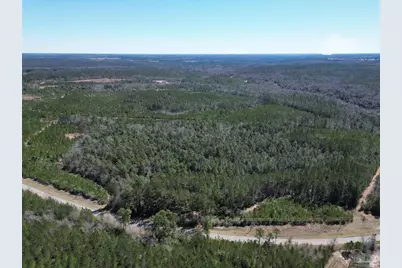 1 Robinsonville Rd, Atmore, AL 36502 - Photo 10