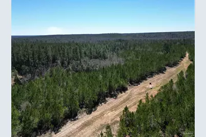 1 Robinsonville Rd, Atmore, AL 36502 - Photo 2