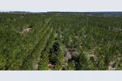 1 Robinsonville Rd, Atmore, AL 36502 - Photo 14