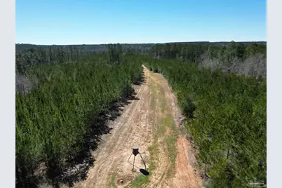 1 Robinsonville Rd, Atmore, AL 36502 - Photo 6