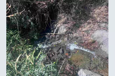 1 Robinsonville Rd, Atmore, AL 36502 - Photo 24