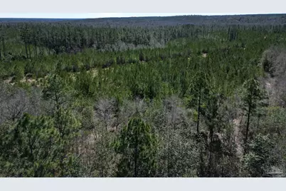 4 Robinsonville Rd, Atmore, AL 36502 - Photo 12