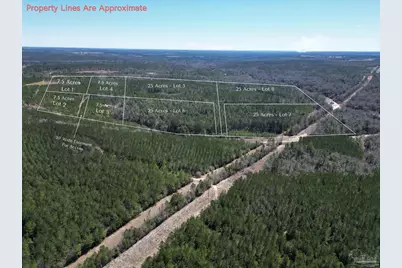 4 Robinsonville Rd, Atmore, AL 36502 - Photo 2