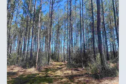 4 Robinsonville Rd, Atmore, AL 36502 - Photo 4