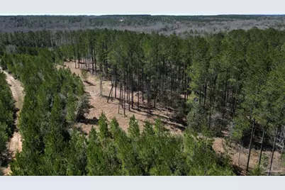 4 Robinsonville Rd, Atmore, AL 36502 - Photo 6