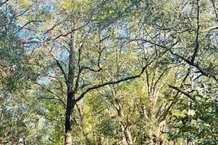 9499 Cornfield Way, Milton, FL 32583 - Photo 1