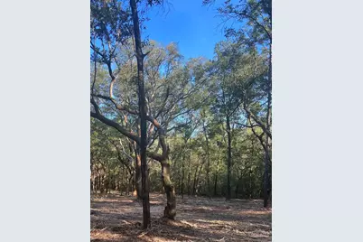 9499 Cornfield Way, Milton, FL 32583 - Photo 2