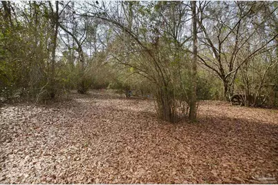 6475 Chestnut Rd, Molino, FL 32577 - Photo 42