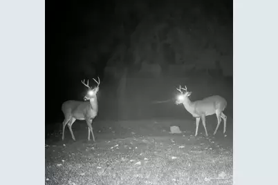 4940 Palmer Ridge Dr, Milton, FL 32570 - Photo 50