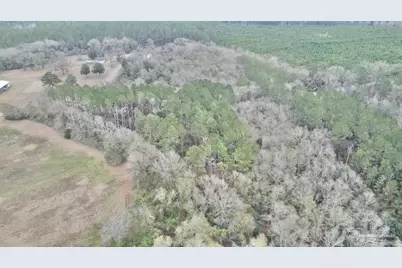 3000 Block N Pine Barren Rd, McDavid, FL 32568 - Photo 16