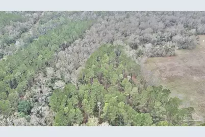 3000 Block N Pine Barren Rd, McDavid, FL 32568 - Photo 12