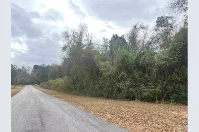 3000 Block N Pine Barren Rd, McDavid, FL 32568 - Photo 2