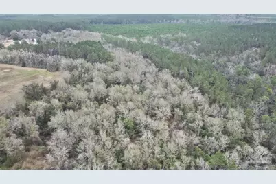 3000 Block N Pine Barren Rd, McDavid, FL 32568 - Photo 18