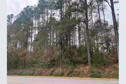 3000 Block N Pine Barren Rd, McDavid, FL 32568 - Photo 4