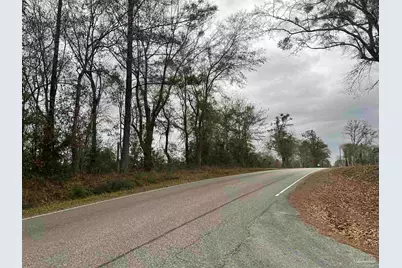 3000 Block N Pine Barren Rd, McDavid, FL 32568 - Photo 6