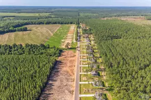 9260 3 Hollow Rd, Jay, FL 32565 - Photo 4