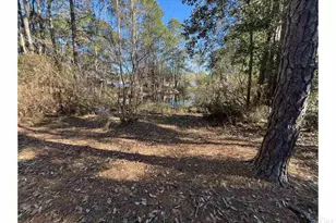 12325 Ailanthus Dr, Pensacola, FL 32506 - Photo 42