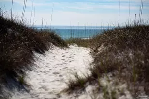 6620 Carlinga Dr, Perdido Key, FL 32507 - Photo 42