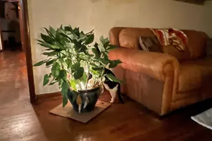 5921 Count Rd, Pensacola, FL 32503 - Photo 30