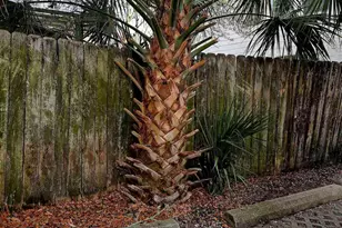 432 Bayfront Pkwy, Pensacola, FL 32502 - Photo 4