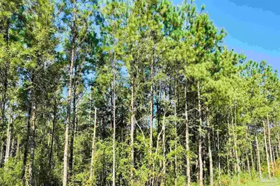 3142 Shearing Rd, Pace, FL 32571 - Photo 2