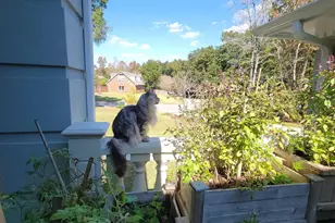 3407 Applegate St, Pensacola, FL 32514 - Photo 28