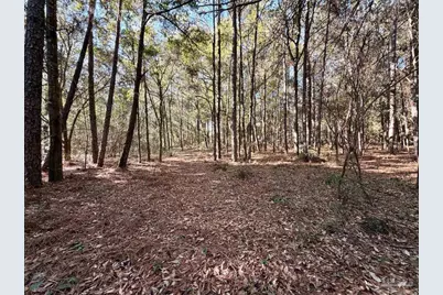 6277 Pansy Dr, Milton, FL 32570 - Photo 18