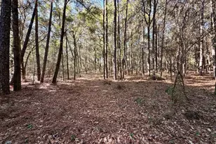 6277 Pansy Dr, Milton, FL 32570 - Photo 18